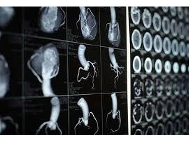 Cardiologist Wollert photo 1