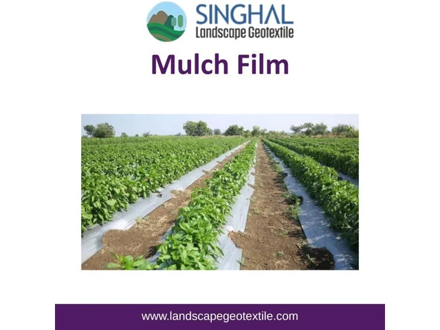How to Choose Mulch Film for Different Crops photo 1