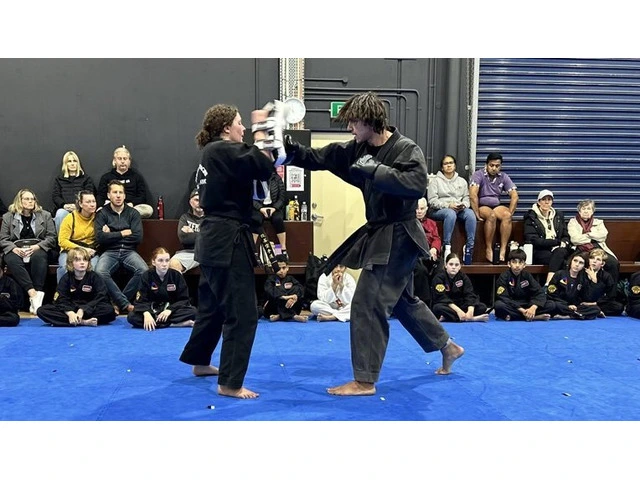 Checkout The Beginner Adult Karate Classes of AMAF Australia photo 1
