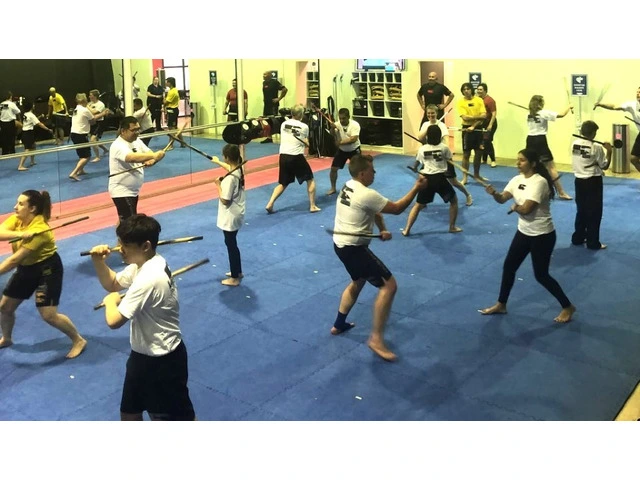 Learn Why Martial Arts in Perth Schools is More Than Just a Sport photo 1