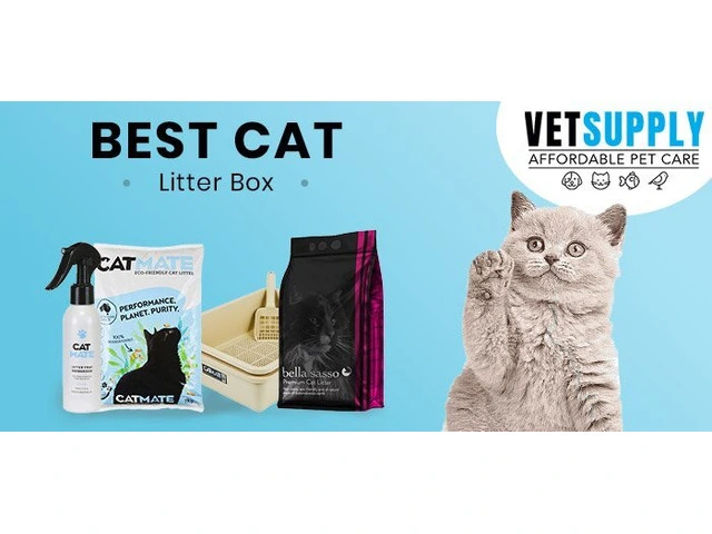 Cat Litter photo 1