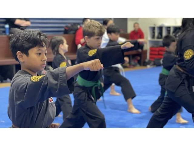 Explore the Importance of Kids Karate Classes in Perth