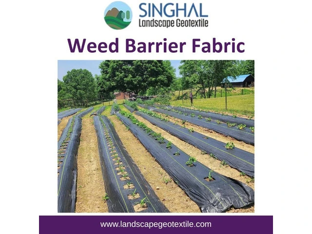 Discover Weed Barrier Fabric for Easier Garden Maintenance photo 1