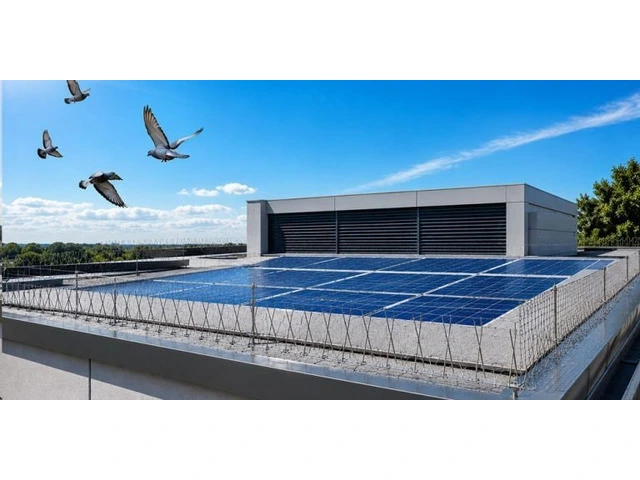 Bird Repeller Solutions – Keep Birds Away the Smart Way photo 1
