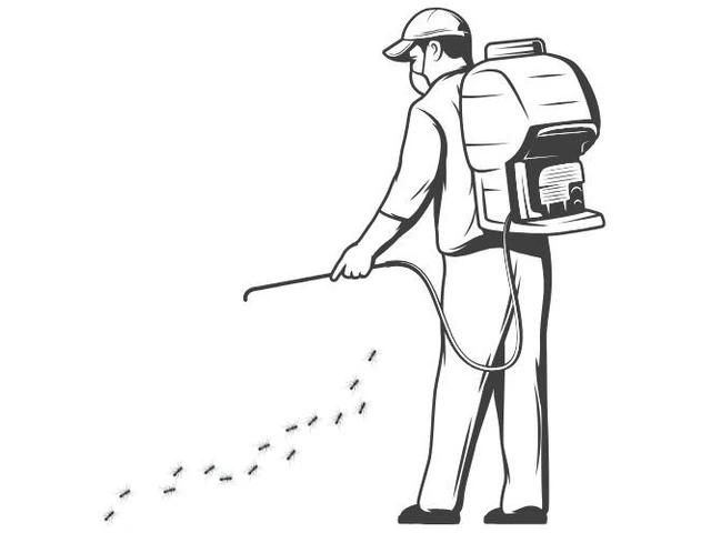 Protect Your Home with Professional Pest and Wildlife Management in Melbourne photo 1