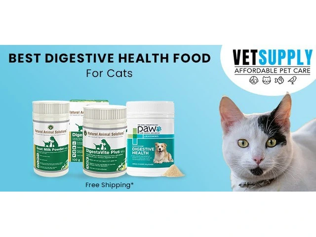 Cat Digestive Supplements photo 1