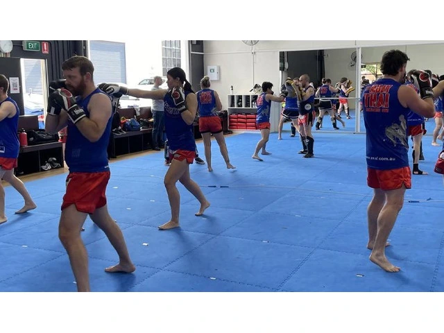 Top Guide About the Muay Thai Karate Classes of AMAF Australia photo 1