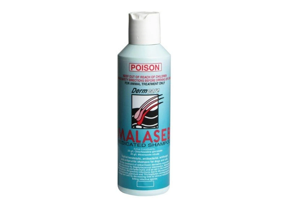 Malaseb Medicated Foam Shampoo for Dogs