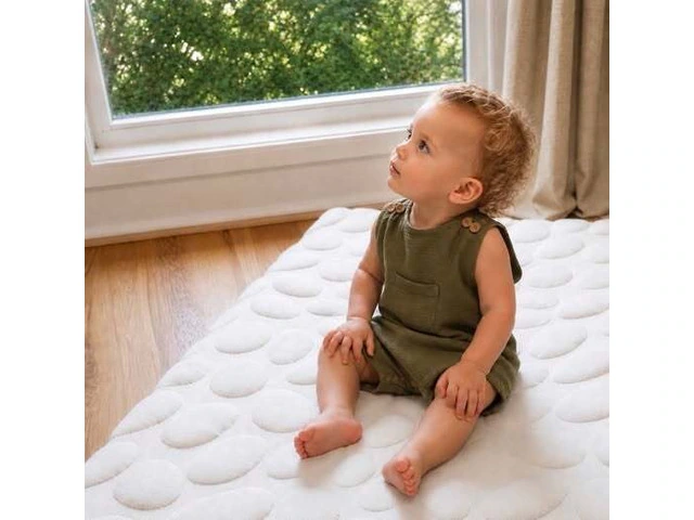 Why Coconut Coir Is a Popular Choice for Natural Baby Mattresses? photo 1