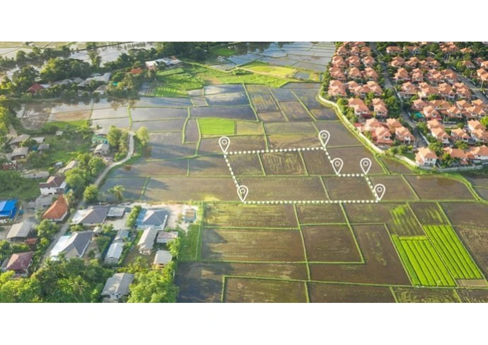 Top Land Title Newcastle Property Services photo 1