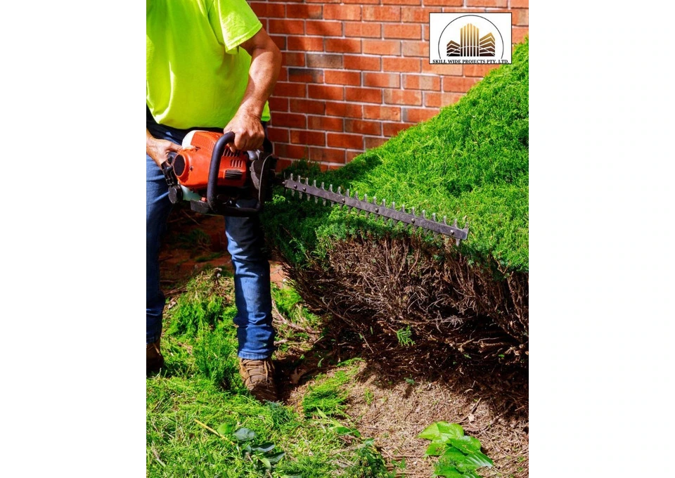 Transform Your Outdoor Space with Expert Landscaping photo 1