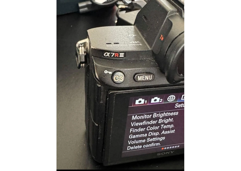 Sony a7R 111- excellent performance photo 1