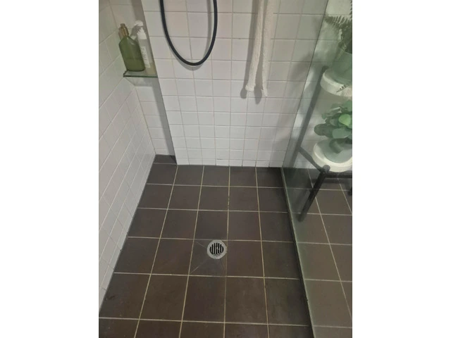 Bathroom Shower Leak Repair for a Cleaner Safer Bathroom photo 1