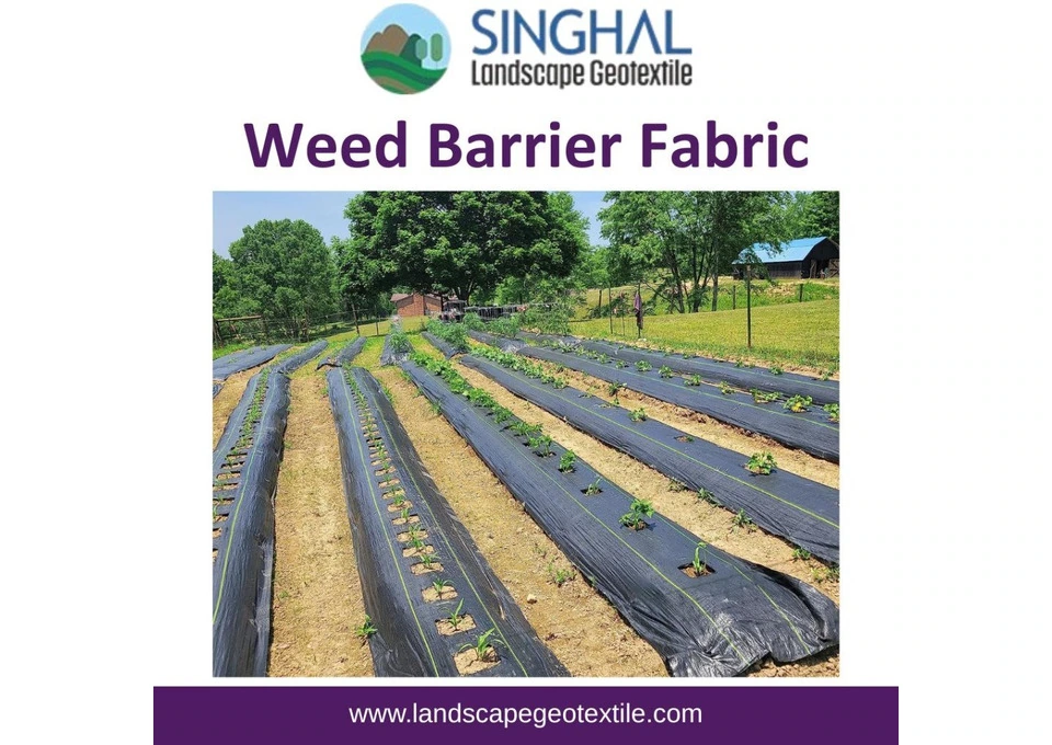 Unlock Weed Barrier Fabric for Effective Weed Suppression photo 1