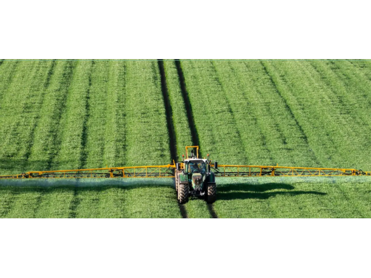 Contract Farm Staff in Australia Managed from Hire Through to Payroll photo 1