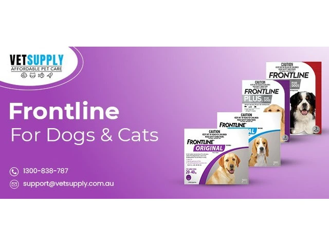 Frontline Flea and Tick Treatments photo 1
