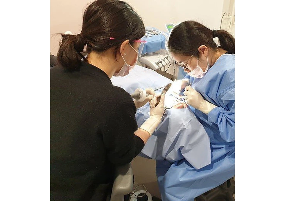 Dentist Dulwich Hill – Quality Dental Care for the Whole Family photo 1