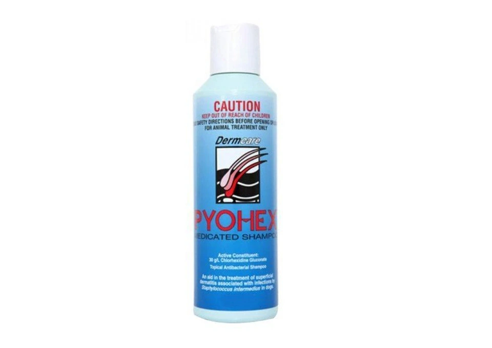 Dermcare Pyohex Medicated Shampoo for Dogs photo 1