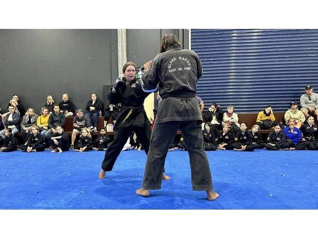 Kickstart Your Fitness Journey With AMAF's Adult Karate Program photo 1