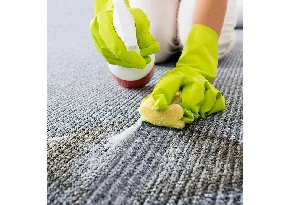 Professional Carpet Cleaning South Melbourne photo 1