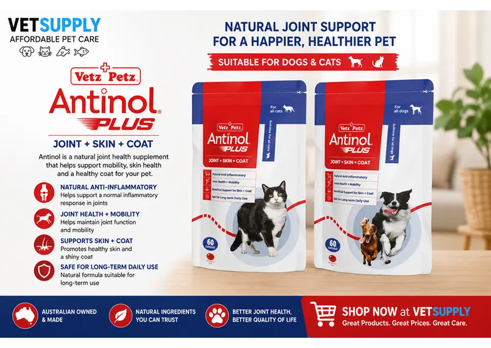 Antinol Joint Health Supplements for Dogs & Cats | VetSupply photo 1