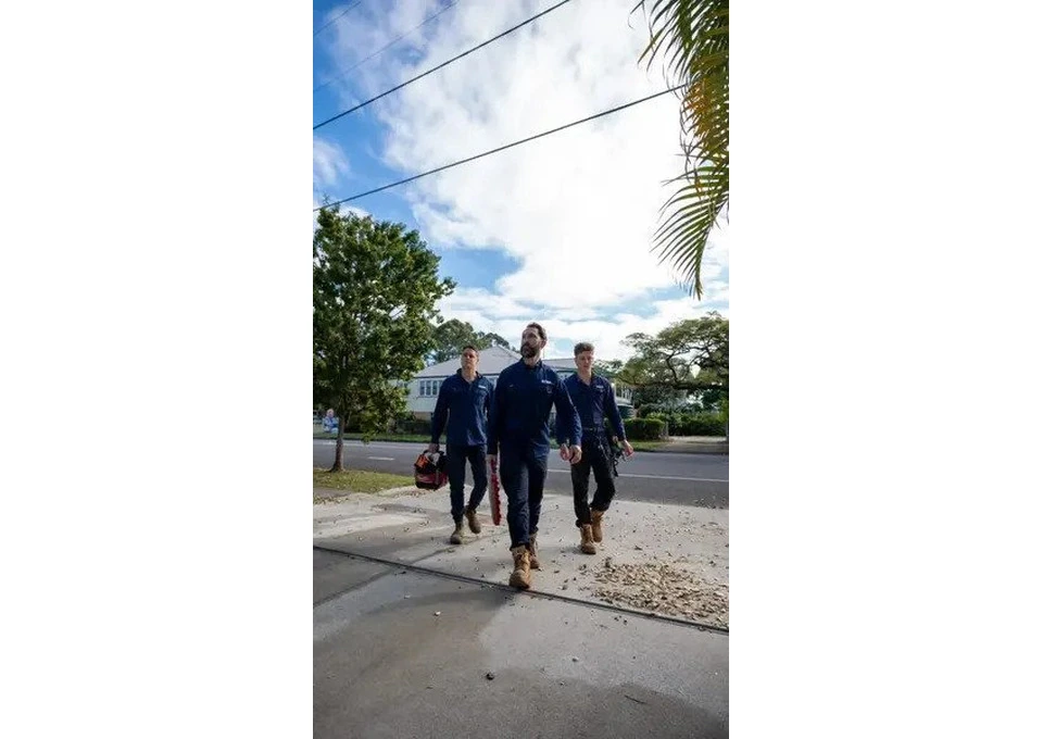 Your Go-To Residential Electrician Brisbane – Fast & Reliable photo 1