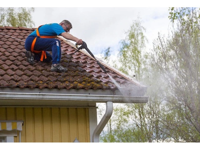 Professional Gutter Cleaning Services for Homes and Businesses