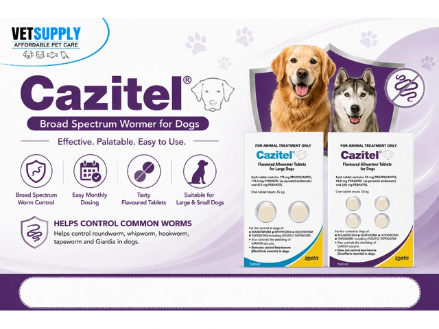 Cazitel Allwormer Tablets for Dogs