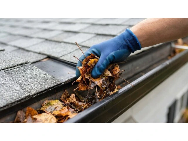 Pro Gutter Cleaning Delivers Trusted Gutter Services Across Sydney photo 1