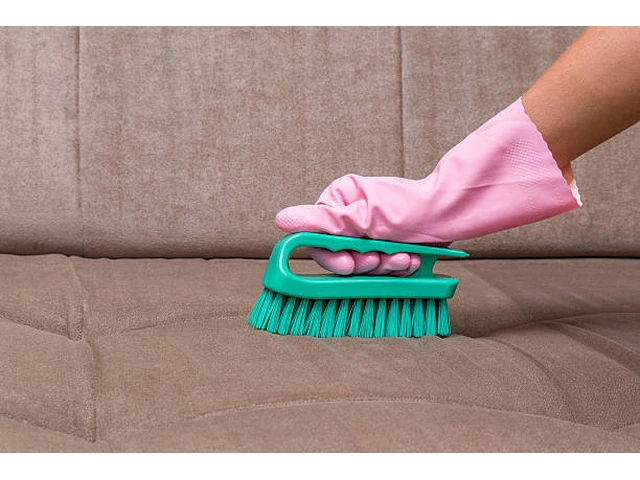 Professional Upholstery Cleaning Brisbane | Ezydry Cleaning Experts photo 1