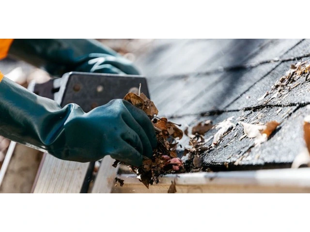 Inner West Gutters Provides Expert Gutter Cleaning Services in Sydney photo 1