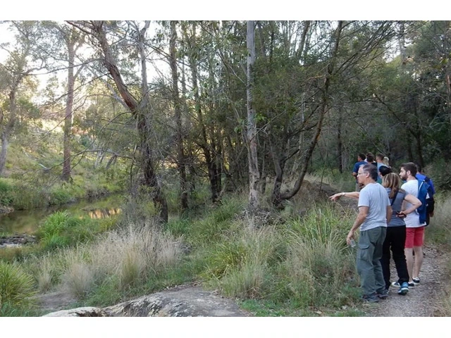 Custom Wildlife Tour Australia: Explore Nature Your Way