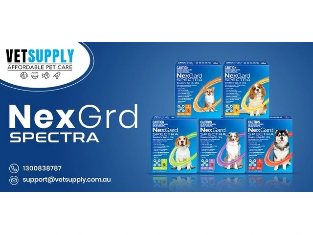 NexGard Flea, Tick and Worm Treatment photo 1