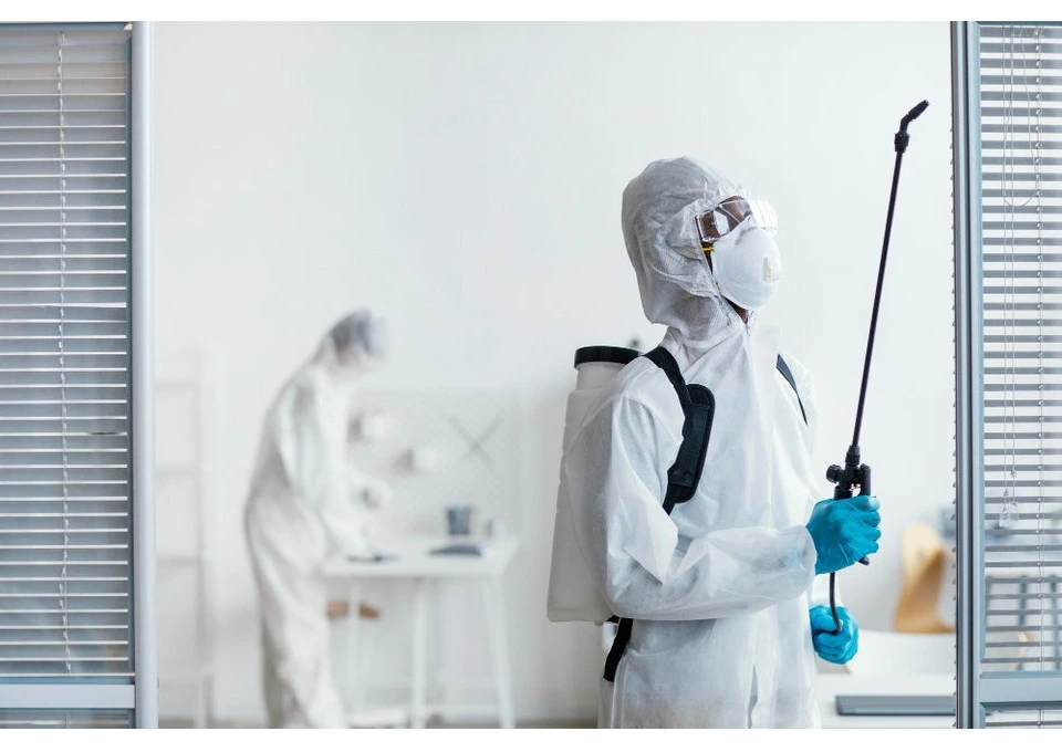 Pest Control in Gold Coast – Safe & Effective Pest Management Solutions photo 1