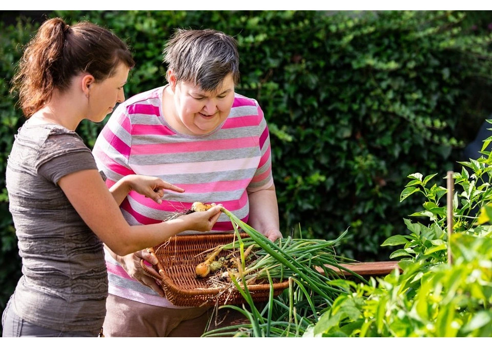 Top 10 Aged Care Services in Doonside, 02 9051 1000 | BetterInHomeCare photo 1