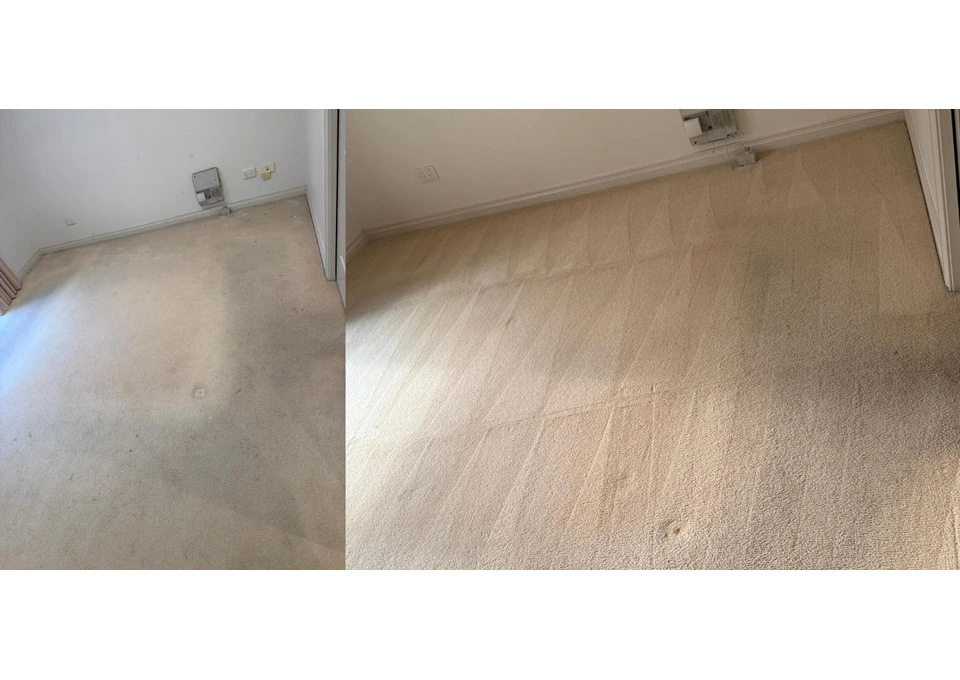 Deep Carpet Steam Cleaning for a Fresher Melbourne Property photo 1