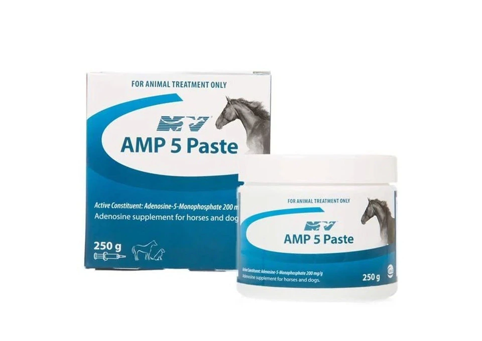 Ceva NV AMP 5 Paste Supplement for Horses & Dogs 250g | VetSupply