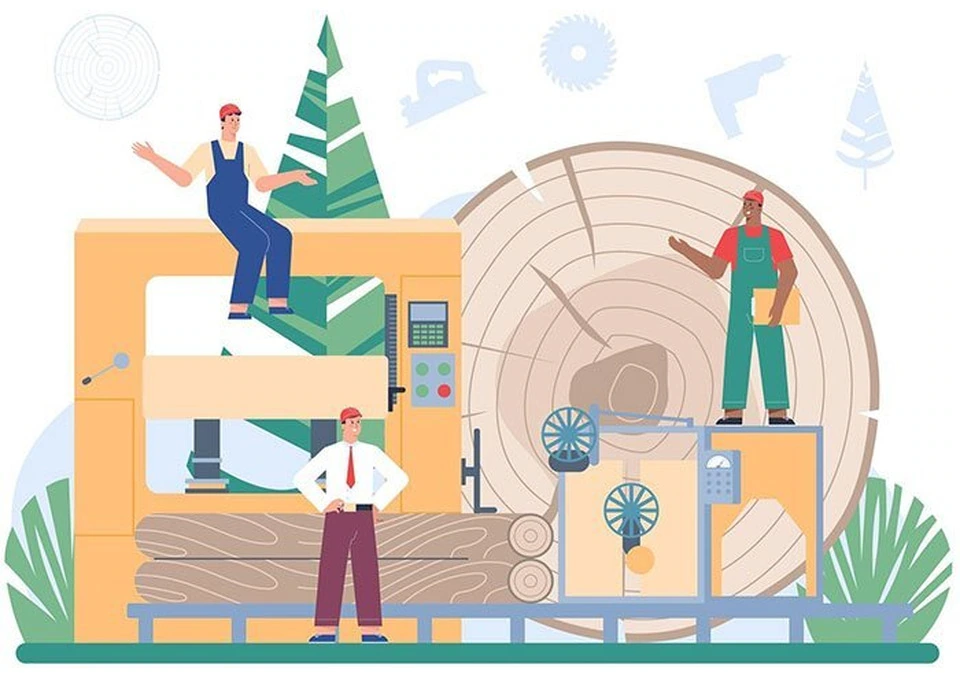 Reliable Timber Pest Inspection Services in Canberra photo 1