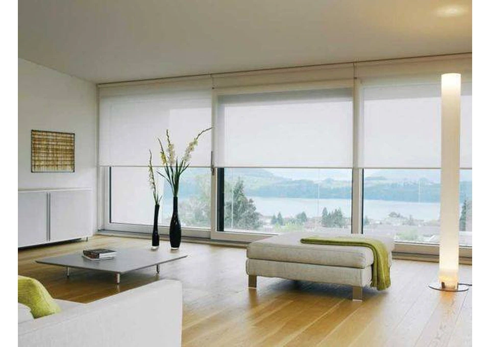 Need Simple Stylish Roller Blinds For Your Windows?