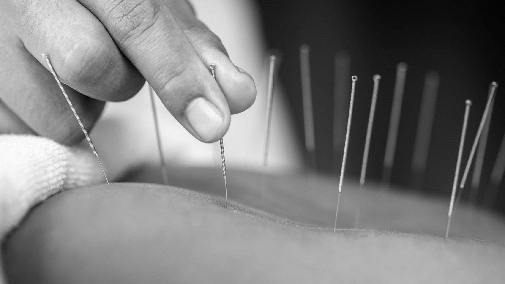 Melbourne Traditional Chinese Medicine photo 1