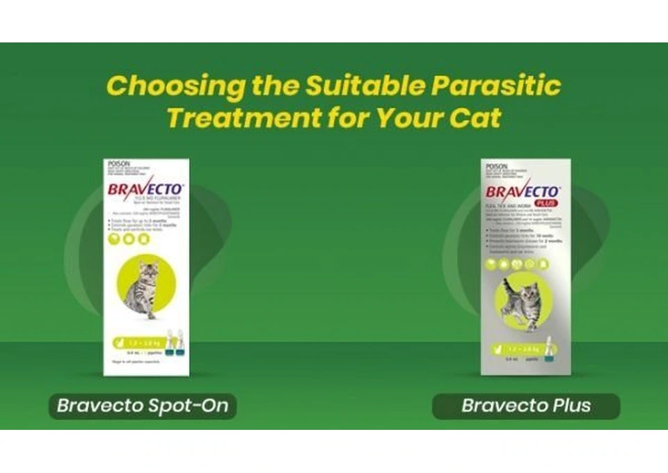 Bravecto Spot On vs Bravecto Plus: Cat Parasite Treatment