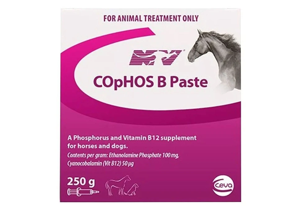 Ceva NV COpHOS B Vitamin B12 Paste for Horses & Dogs 250g | VetSupply