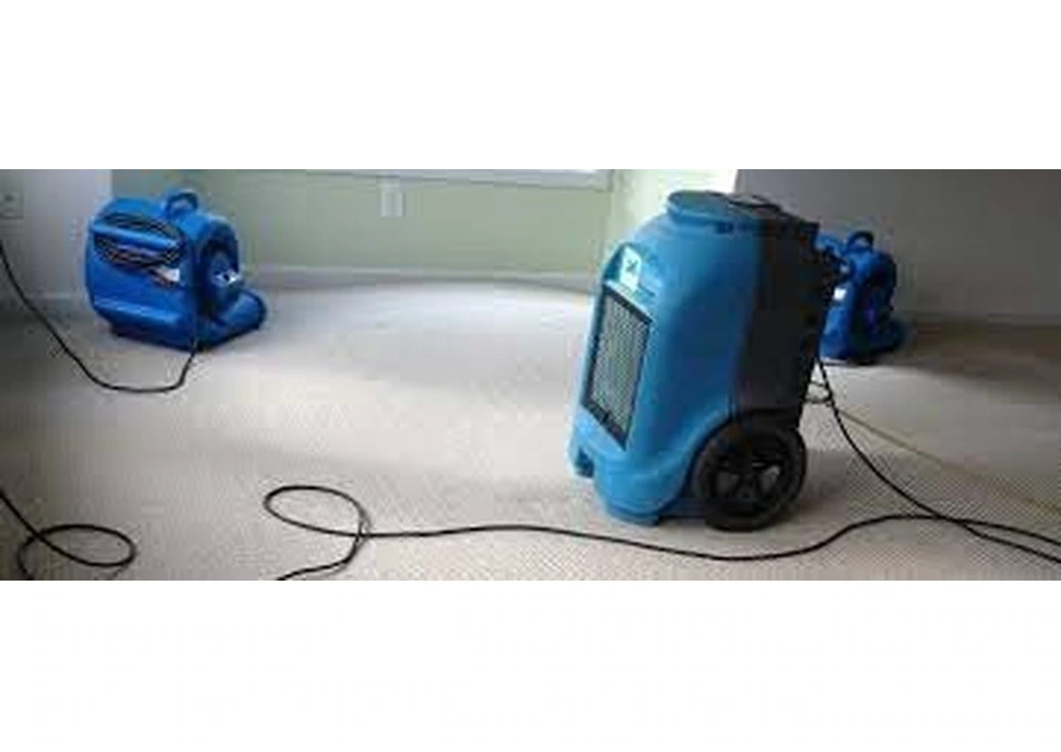 Get Expert Flood Damage Restoration Melbourne for Your Property photo 1