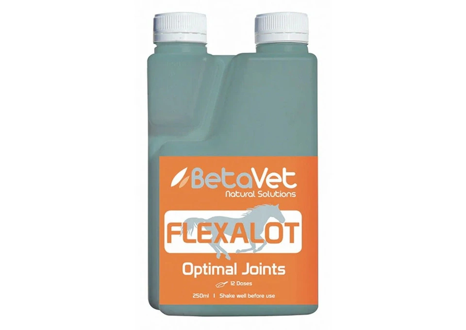 BetaVet Flexalot Optimal Joint Support for Horses | VetSupply