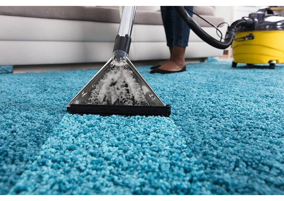 Professional Carpet Steam Cleaning St Kilda