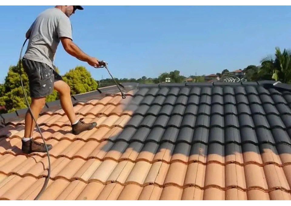 Can Roof Painting Services Fix a Faded and Weathered Roof? photo 1