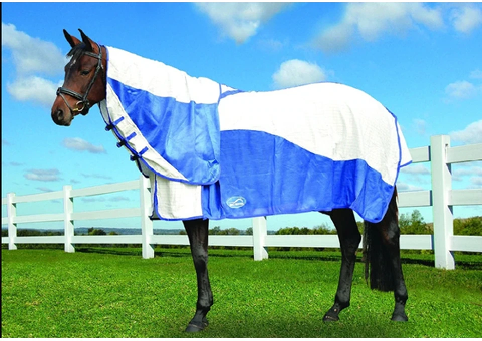 Shop Eurohunter Rugs for Horses Across Australia