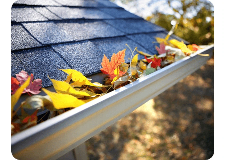 Gutter Cleaning Mount Druitt for Reliable Property Protection photo 1
