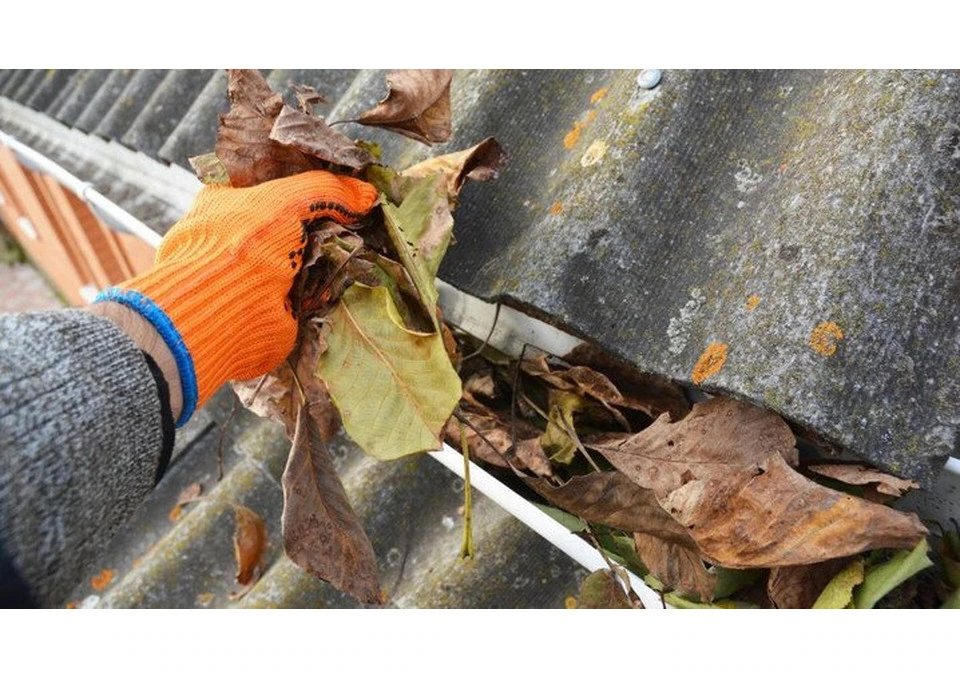 Reliable Gutter Cleaning Services in Sydney’s Eastern Suburbs photo 1