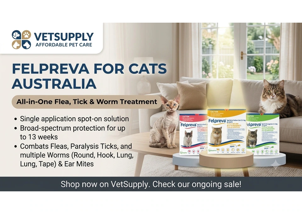 Felpreva for Cats Australia | All-in-One Flea, Tick & Worm Treatment | VetSupply